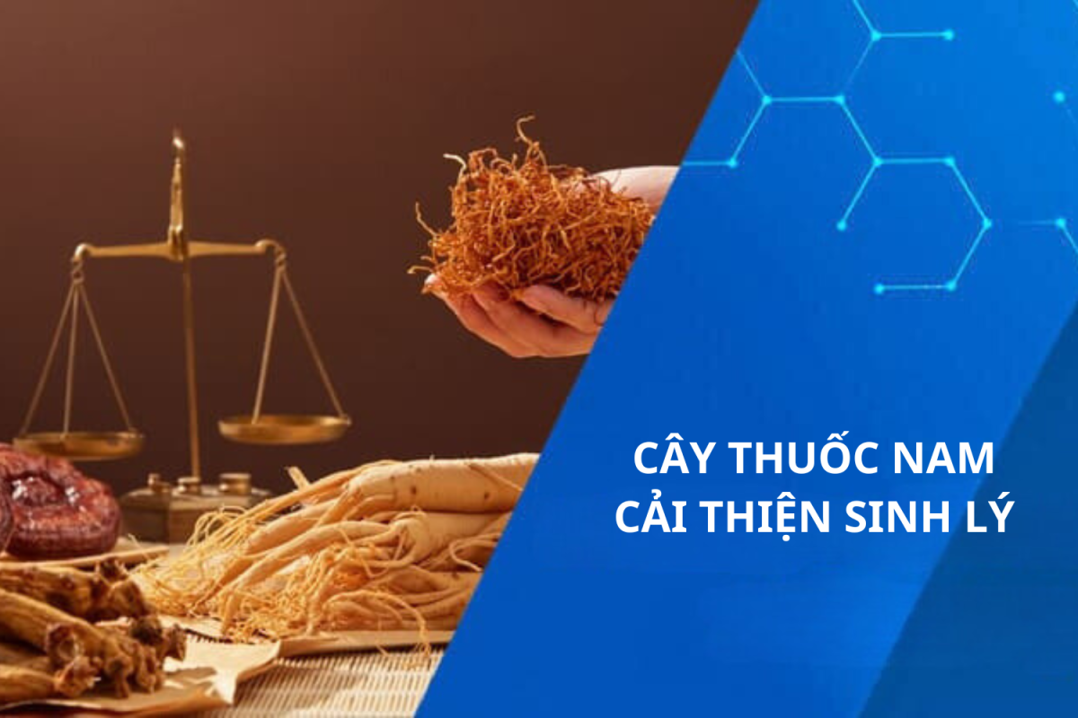 7 loại cây thuốc nam thường được sử dụng để chữa yếu sinh lý